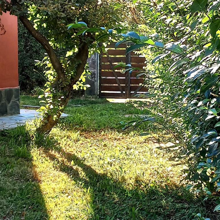 Origen Rent a House - One-Bedroom House - 5