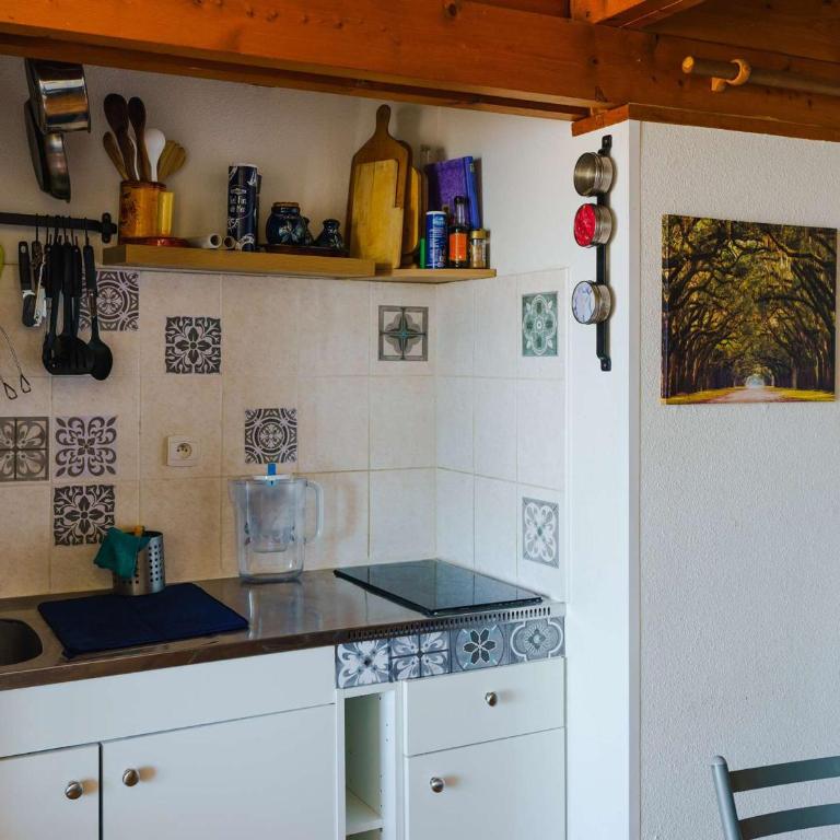 Appartement 4 pers avec WIFI, animaux admis, parking privé - FR-1-409-142 - Apartamento (5 adultos) - 6