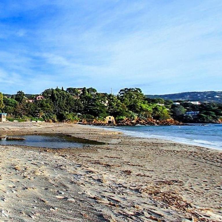 Appt 2P avec terrasse et parking - Le Lavandou - FR-1-251-544 - Apartment - 12