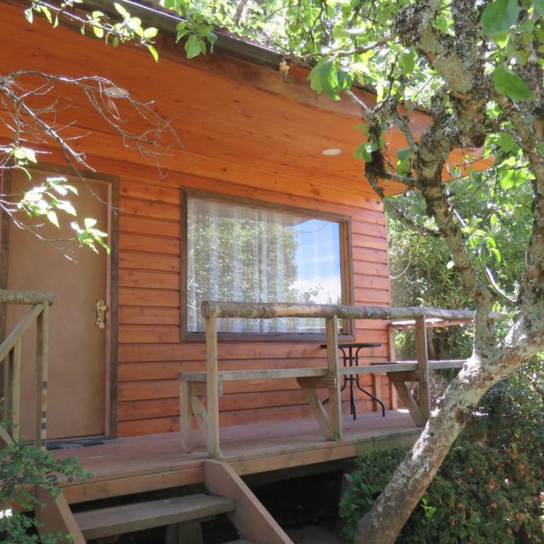 Cabañas Paihuén - One-Bedroom House - 17