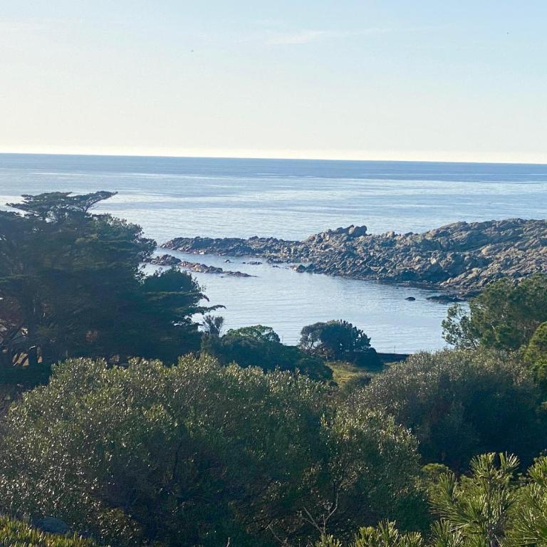 Maison de pêcheur superbe vue mer, grand jardin - Casa Unifamiliar de 3 dormitorios - 4