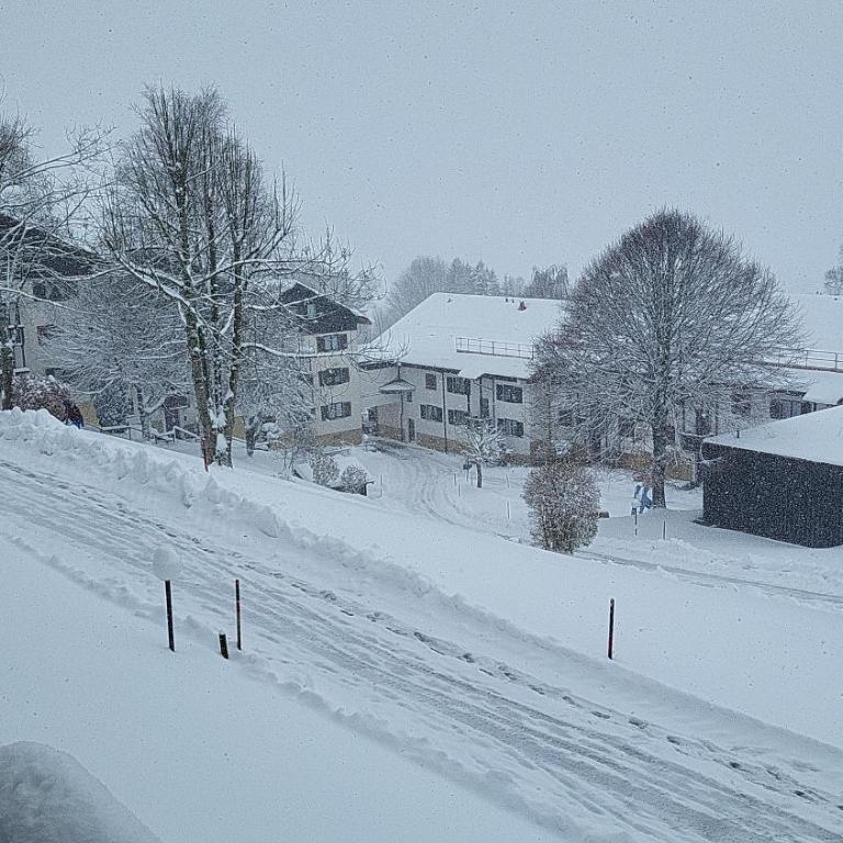 Ferienwohnung Almruhe mit Pool und Sauna & direkt am Skilift - One-Bedroom Apartment - 26