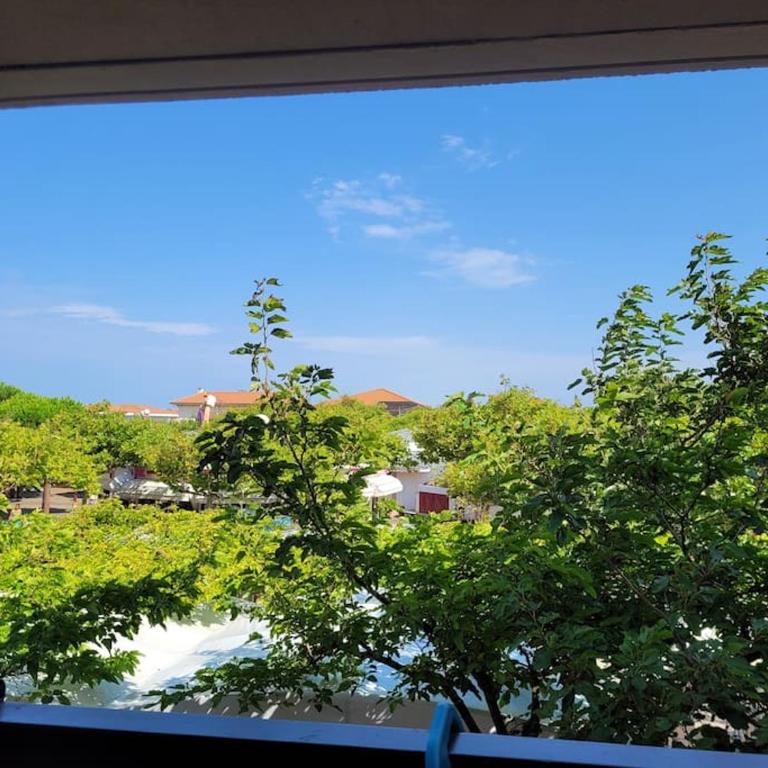 Biscarrosse - Plage à 300m Superbe appart. 4 Pers - Apartment mit 1 Schlafzimmer - 8