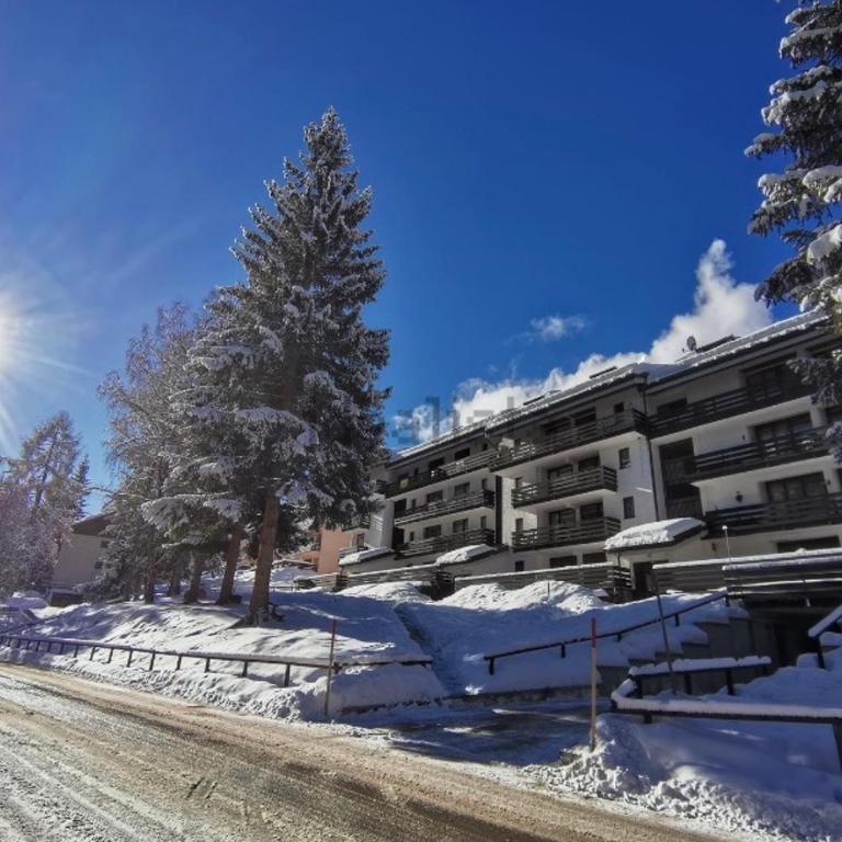 La Finestra sul Brenta with FREE AND PRIVATE CAR PARK IN MAD di CAMPIGLIO CIPAT O22233-AT-O13262 - Appartamento - 1