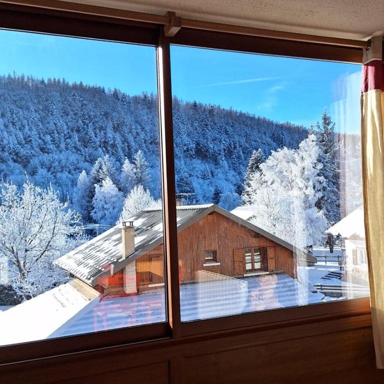 Les Serintes - Appartement 1 Chambre - 6