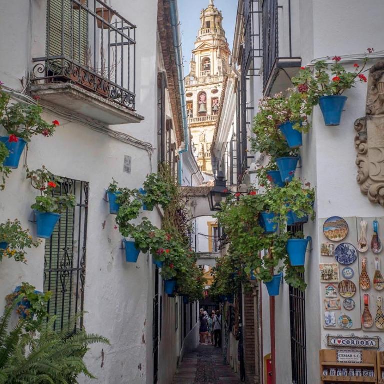 Apartamento Flor de Córdoba - Apartamento de 1 dormitorio - 23