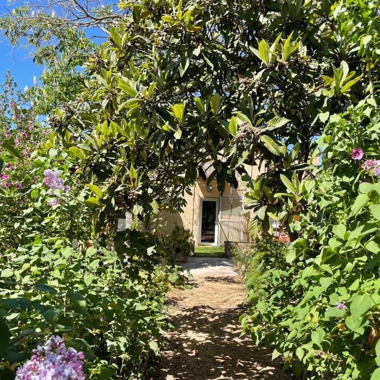 Petite maison de ville avec jardin quartier calme - Two-Bedroom House - 1