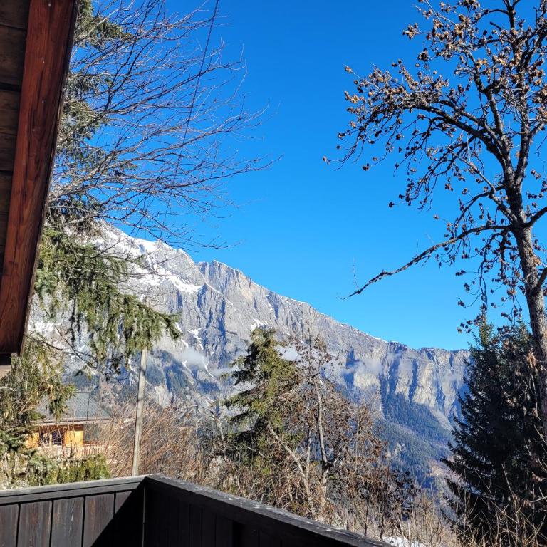 Charmant chalet familial ancien - Chalet - 30
