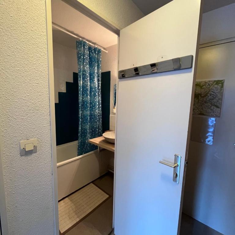 Aux Pieds des pistes en plein soleil - One-Bedroom Apartment - 31