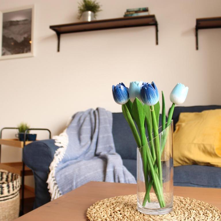 Blue Velvet by Sea You There Fuerteventura - Apartamento Deluxe - 19