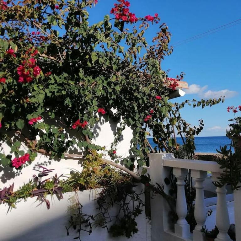 Beach house Estepona - Casa con 1 dormitorio - 6
