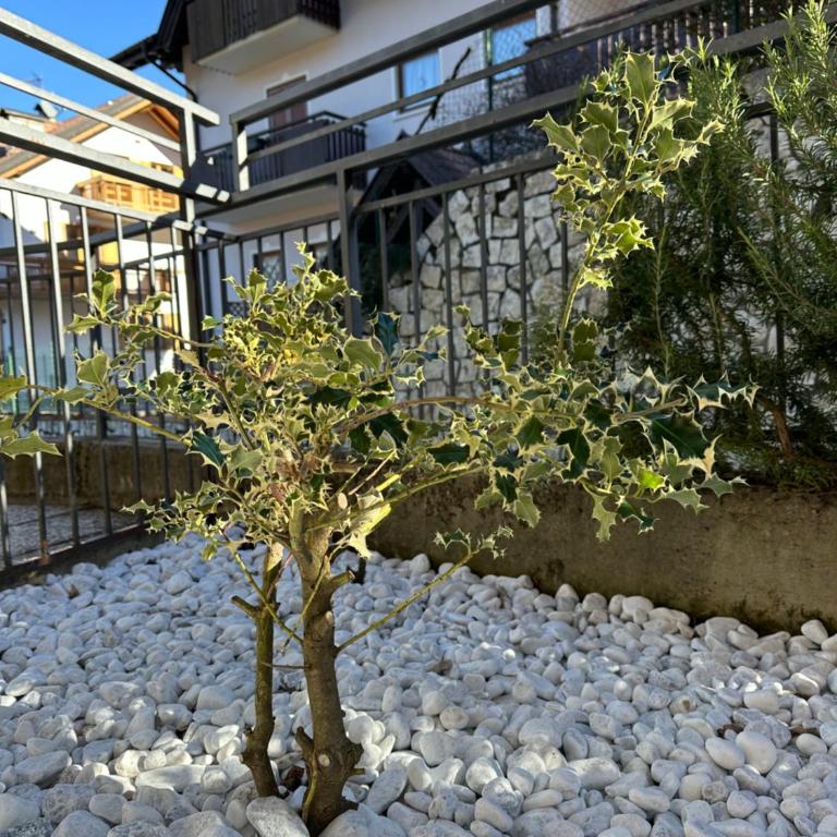 Casa Vacanza La Croseta - Appartamento con 1 Camera da Letto - 8
