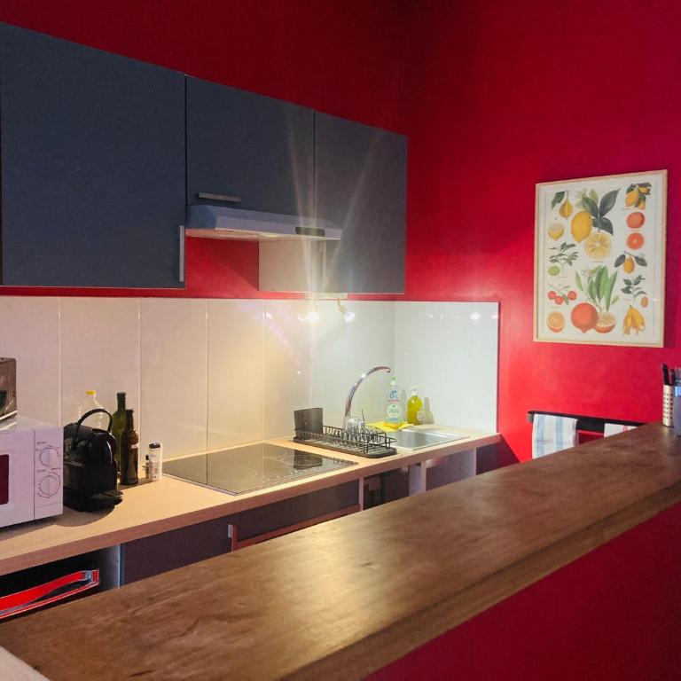 Grand studio plein centre - Studio - 7