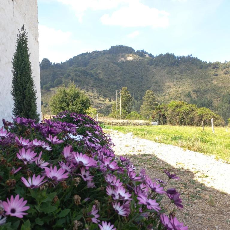 Hospedaje y Camping del Rio - Budget Single Room - 14