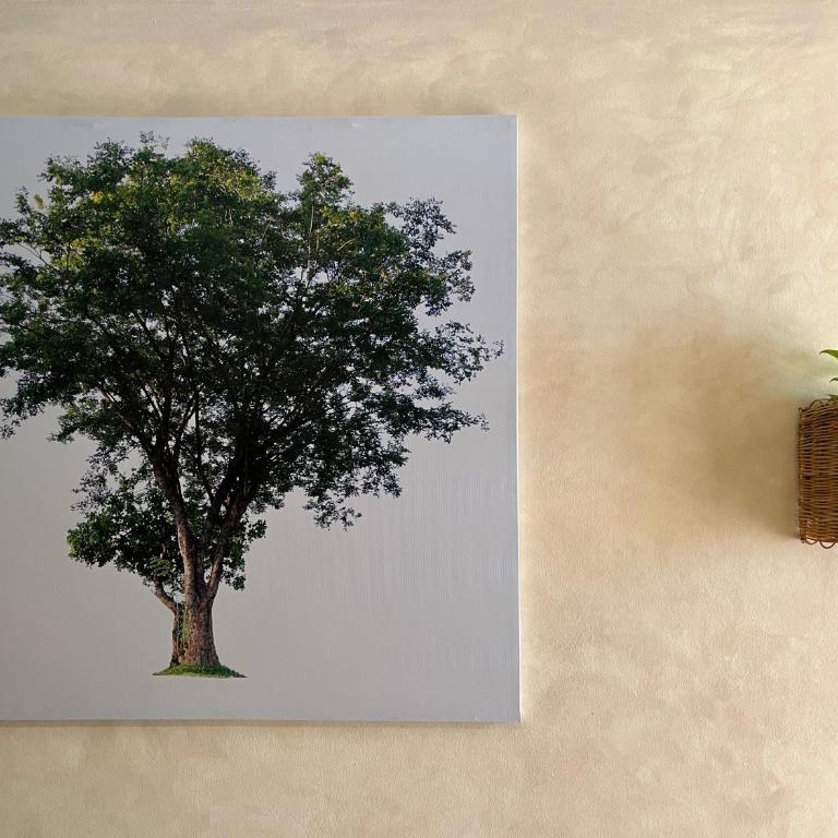 Beguest Paramar Terra - Apartamento - 12
