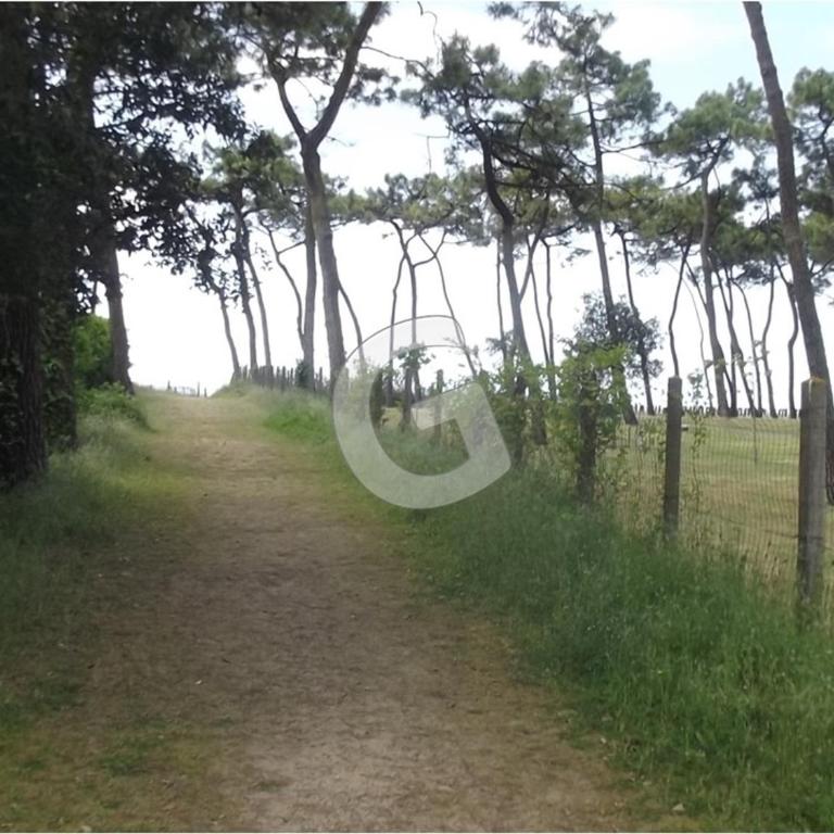 Maison cosy, 600m de la plage, tout confort, jardin clôturé, La Tranche-sur-Mer - FR-1-194-371 - Casa de vacaciones (4 adultos) - 15
