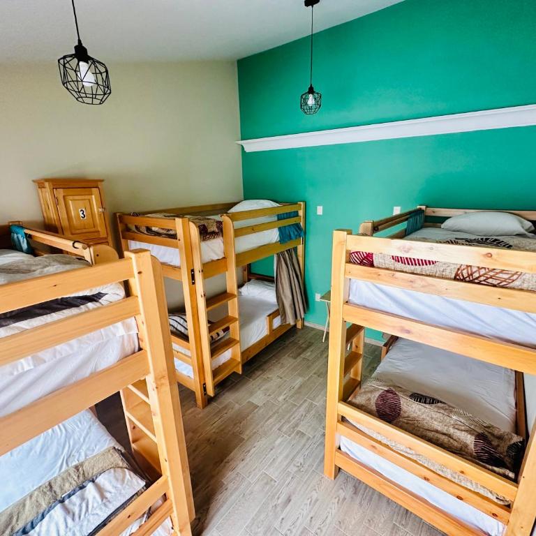 Tierra Alta Hostal - Bunk Bed in Male Dormitory Room - 3