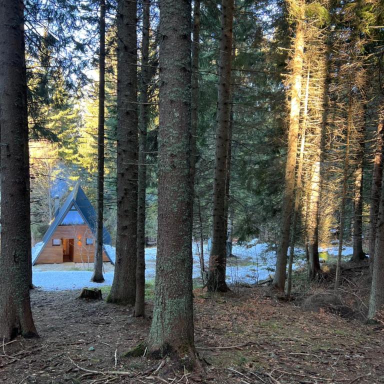 Viktorija chalet - Koliba sa 2 Spavaće Sobe - 80