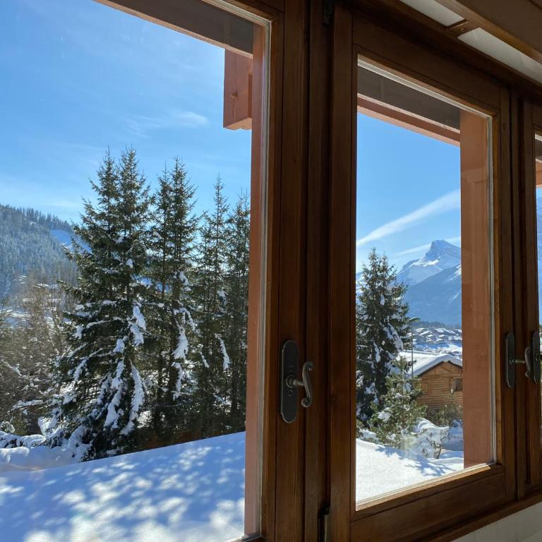 Les Grangettes 2 - DUPLEX - WIFI gratuite - Apartamento de 2 dormitorios - 1