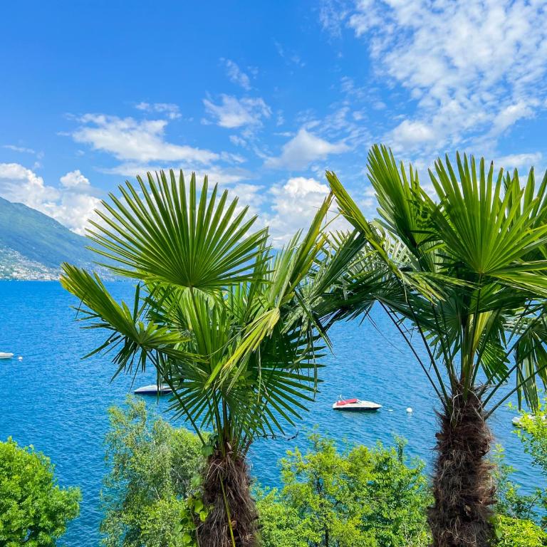 Lakeview Cannobio Camping & Resort - Estudio - 16