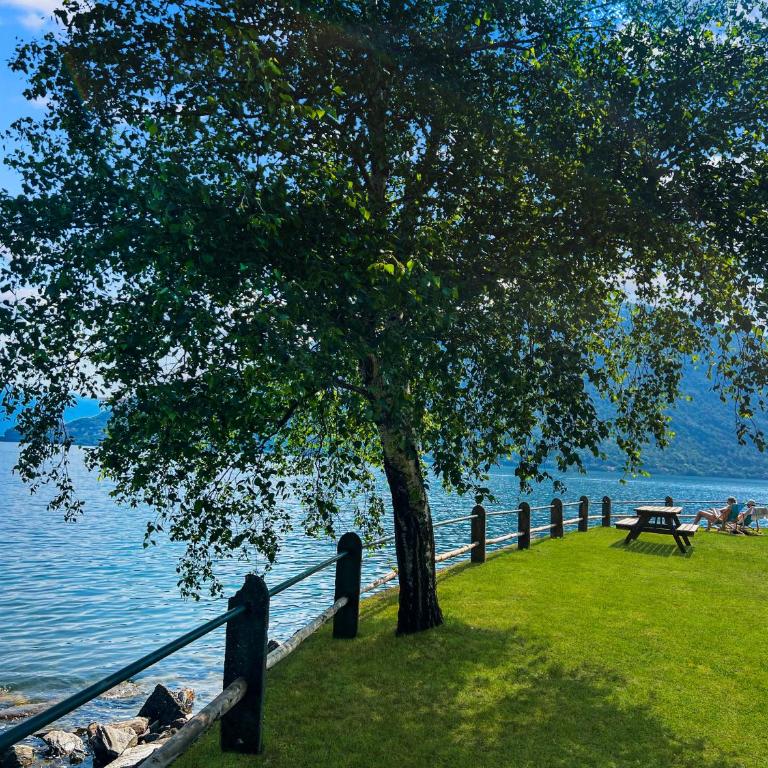 Lakeview Cannobio Camping & Resort - Estudio - 15