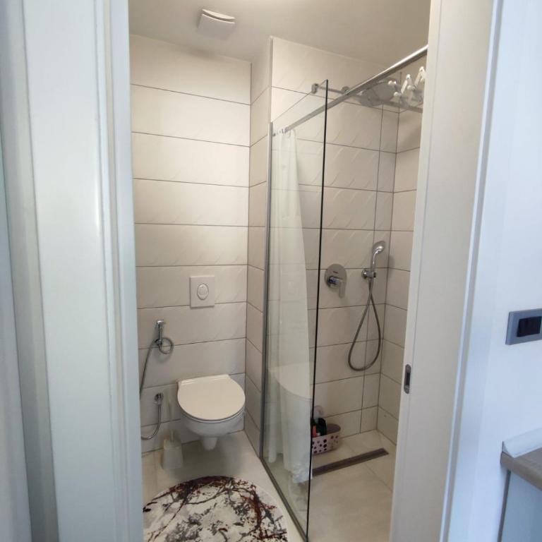 AS apartman Panonica - Apartman sa 1 Spavaćom Sobom - 15