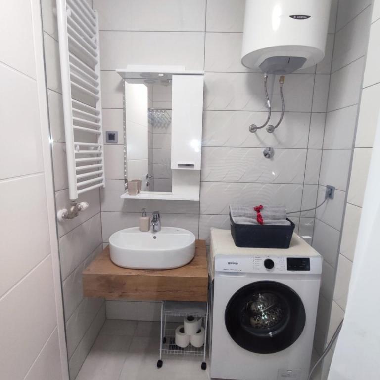 AS apartman Panonica - Apartman sa 1 Spavaćom Sobom - 13