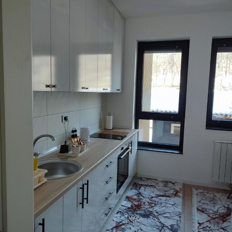 AS apartman Panonica - Apartman sa 1 Spavaćom Sobom - 9