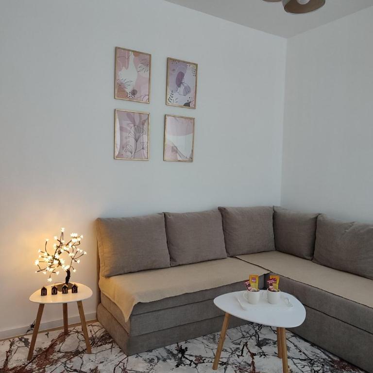 AS apartman Panonica - Apartman sa 1 Spavaćom Sobom - 1