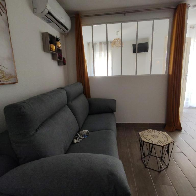 Les Goélettes location saisonnière - Appartement 1 Chambre - 2