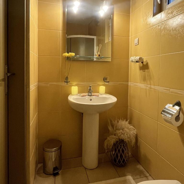 Apartments Vojvoda - Studio - 9