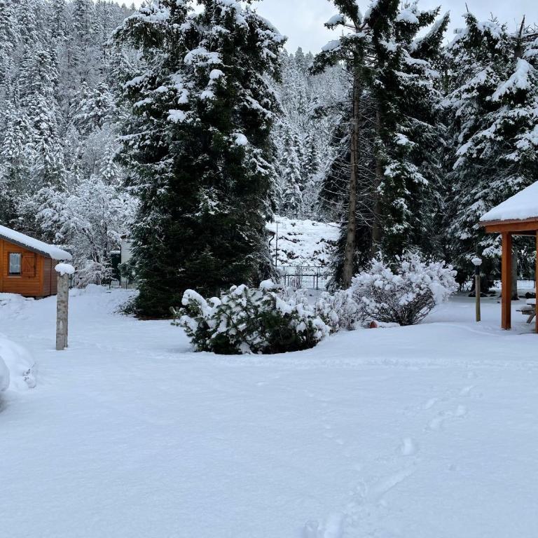 Capucine 1 - Chalet 2 Chambres - 13