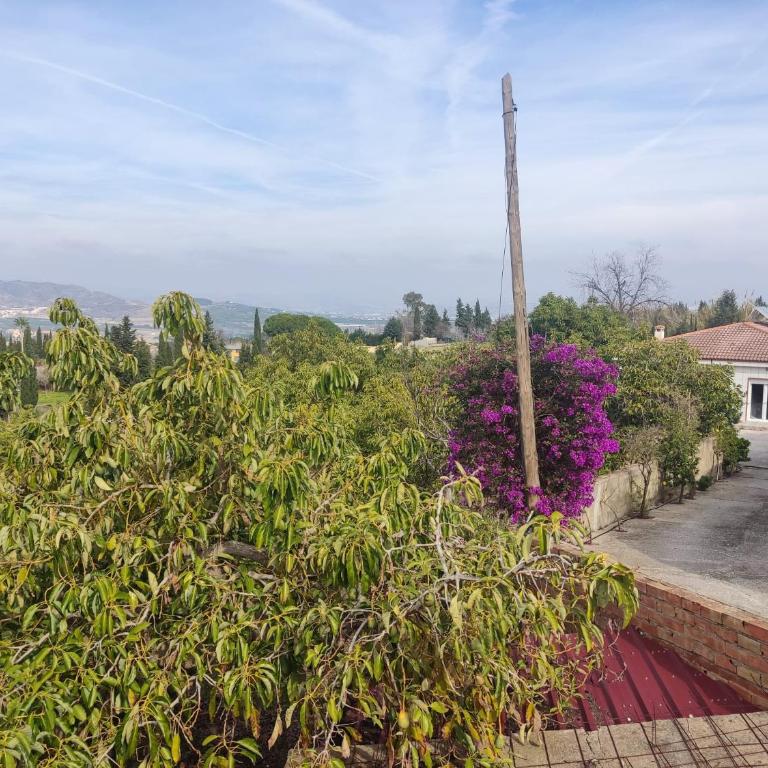Finca Vista El Montanes - Villa con piscina privada - 63