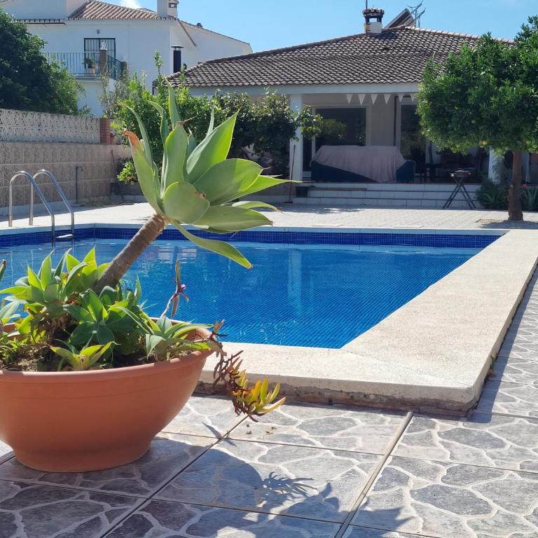 Finca Vista El Montanes - Villa con piscina privada - 30