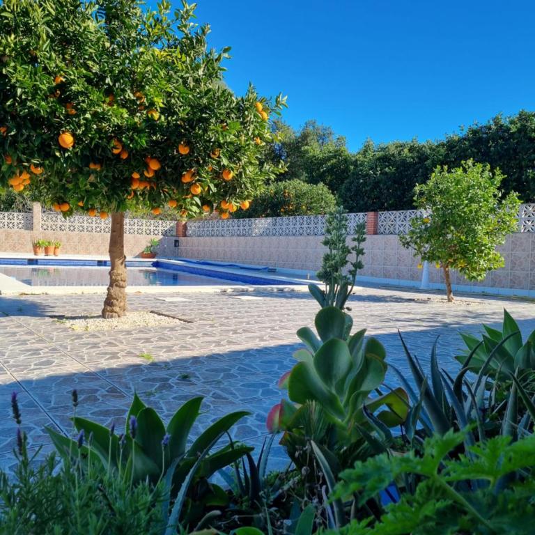 Finca Vista El Montanes - Villa con piscina privada - 82