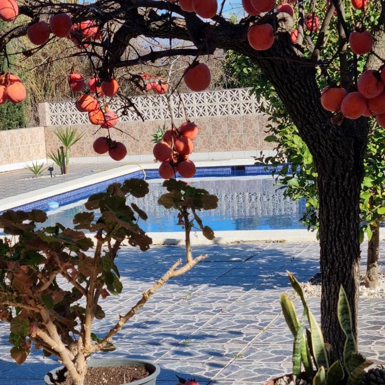 Finca Vista El Montanes - Villa con piscina privada - 83