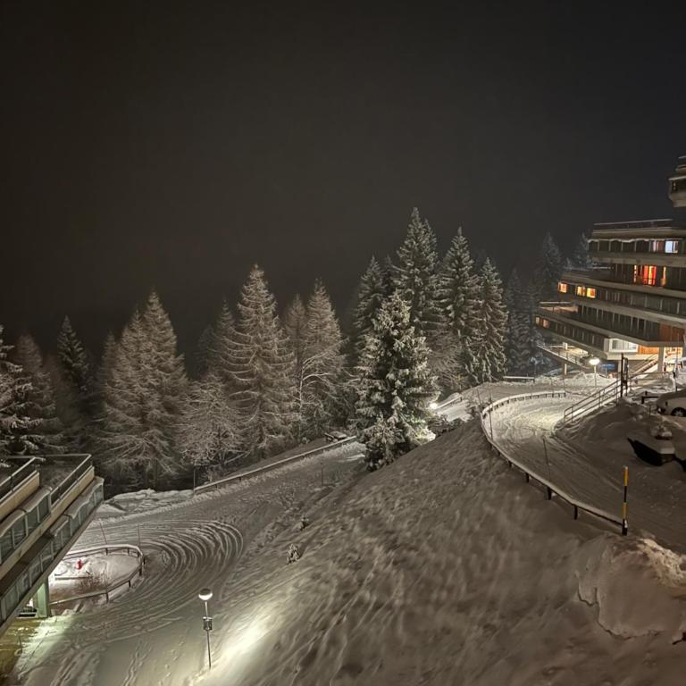 Appartamento con panorama sulla Val di Sole, Natura, Trekking e Relax - Appartamento con 1 Camera da Letto - 17