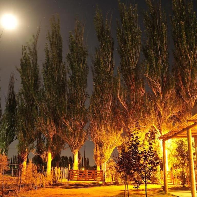 La Lili Casa de Campo - Casa de 2 dormitorios - 9