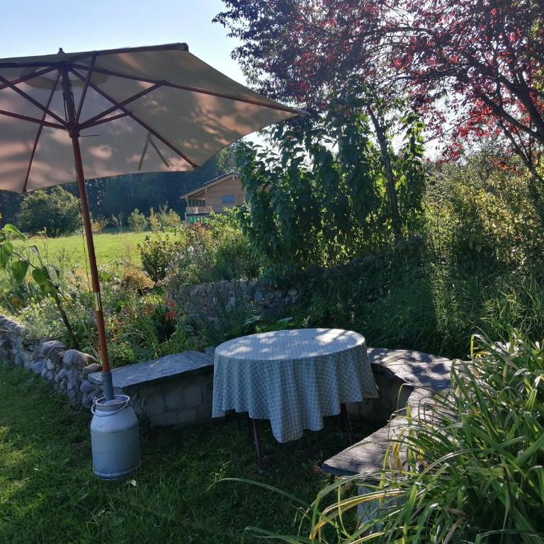 Neueröffnung, 2 wunderschöne Ferienwohnungen im Grünen - Apartment mit 1 Schlafzimmer - 2