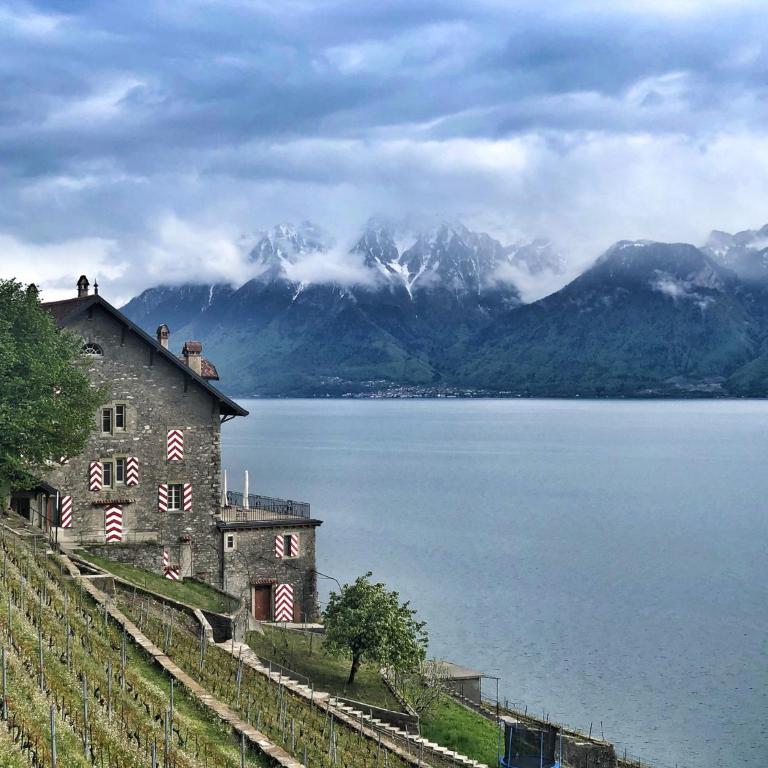 Domaine du Deven Grandvaux - Apartment mit Gartenblick - 45