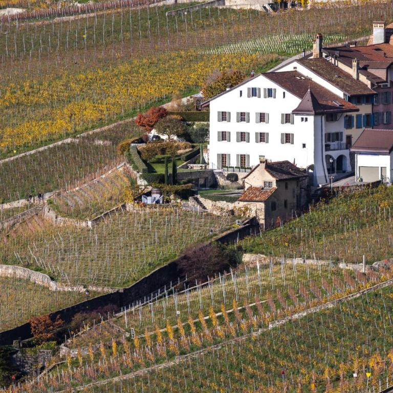 Domaine du Deven Grandvaux - Apartment mit Gartenblick - 53