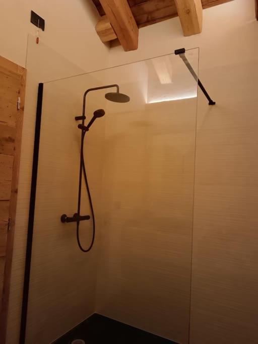 Brand new duplex in the Dolomites - Lupo Bianco - Appartamento con 3 Camere da Letto - 10