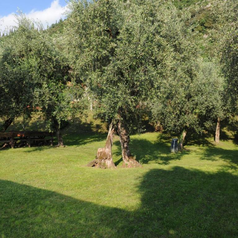 Residence Kormorano - Appartamento con Vista Lago - 5