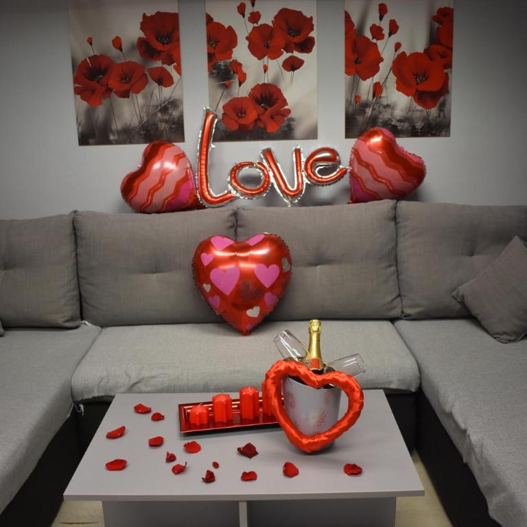 Apartman Tara - Apartman sa 1 Spavaćom Sobom - 6