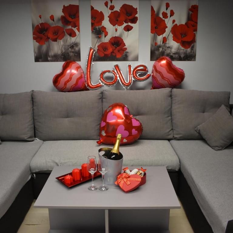 Apartman Tara - Apartman sa 1 Spavaćom Sobom - 4