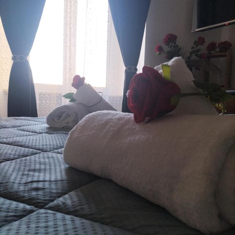Red Roses Domus Rome - Appartamento con 1 Camera da Letto - 33