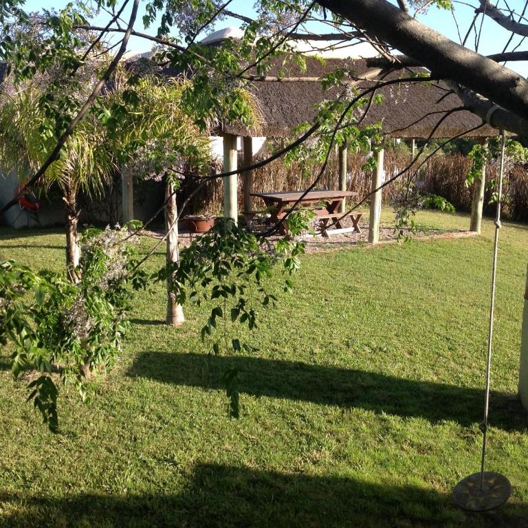 Coco Loco Lodge - Bungalow (4 adultos) - 9