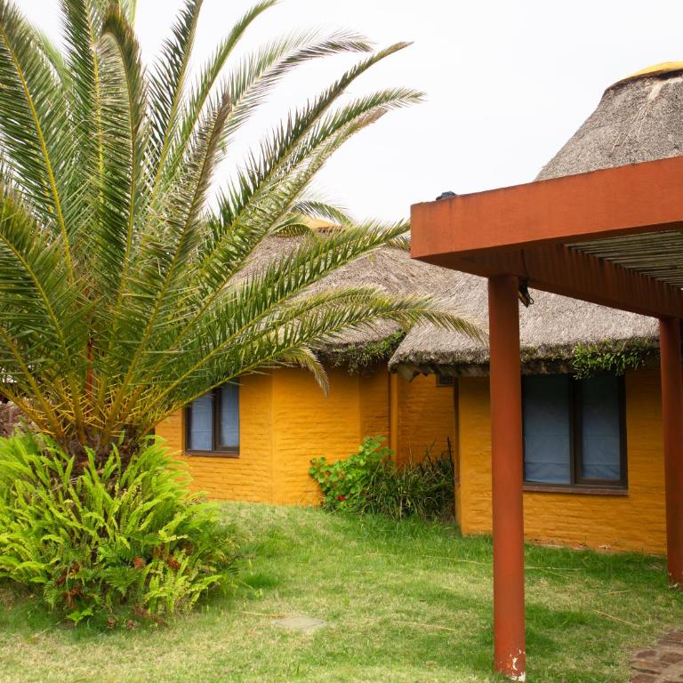 Coco Loco Lodge - Bungalow (4 adultos) - 8
