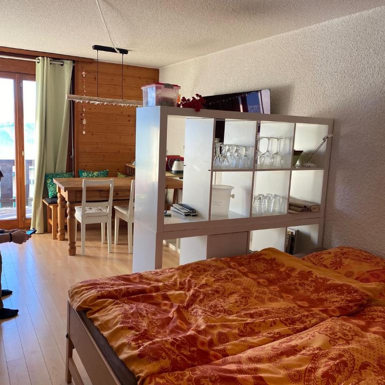 "Le Ptit Nid" studio avec vue à couper le souffle à Leysin ! - Studio - 4