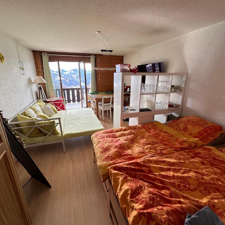 "Le Ptit Nid" studio avec vue à couper le souffle à Leysin ! - Studio - 3